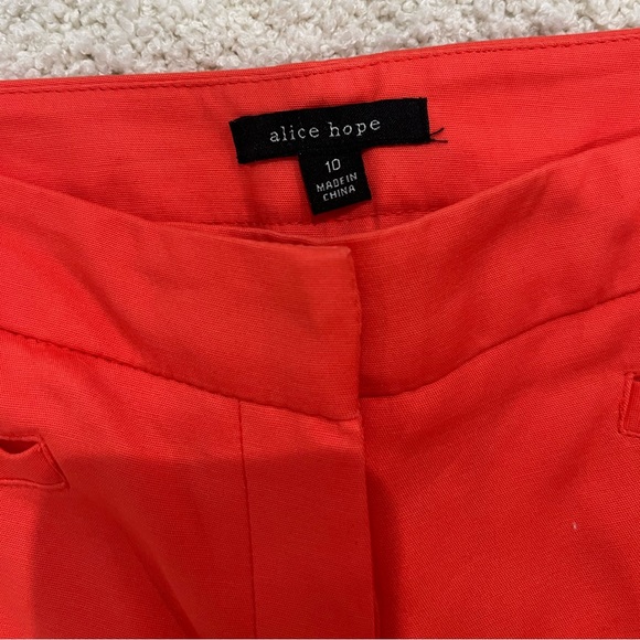 Alice Hope Ankle Length Pants; Size 10 - Picture 3 of 4